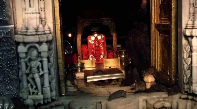 करणी माता मंदिर - जानें चूहों वाला मंदिर और उसका रहस्य