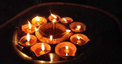 “दीपावली पर निबंध हिंदी में” पढ़ें – Read “Essay on Diwali in Hindi”