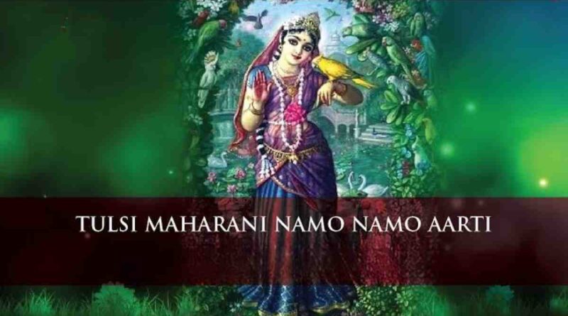 तुलसी महारानी नमो नमो - Tulsi Maharani Namo Namo Lyrics